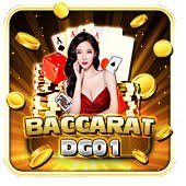 334bet